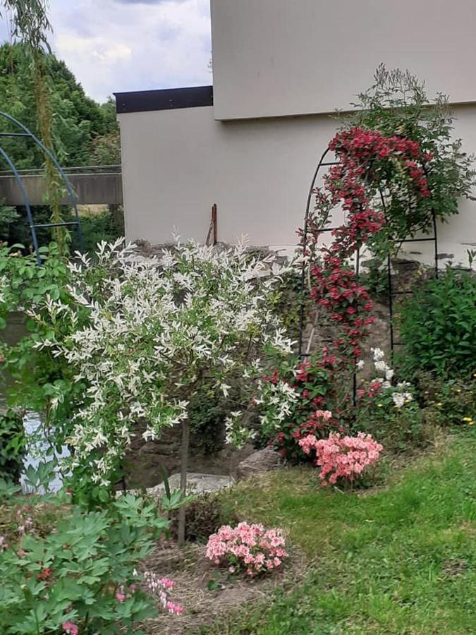 Le Refuge Des Alpes Mancelles Apartment Fresnay-sur-Sarthe Luaran gambar