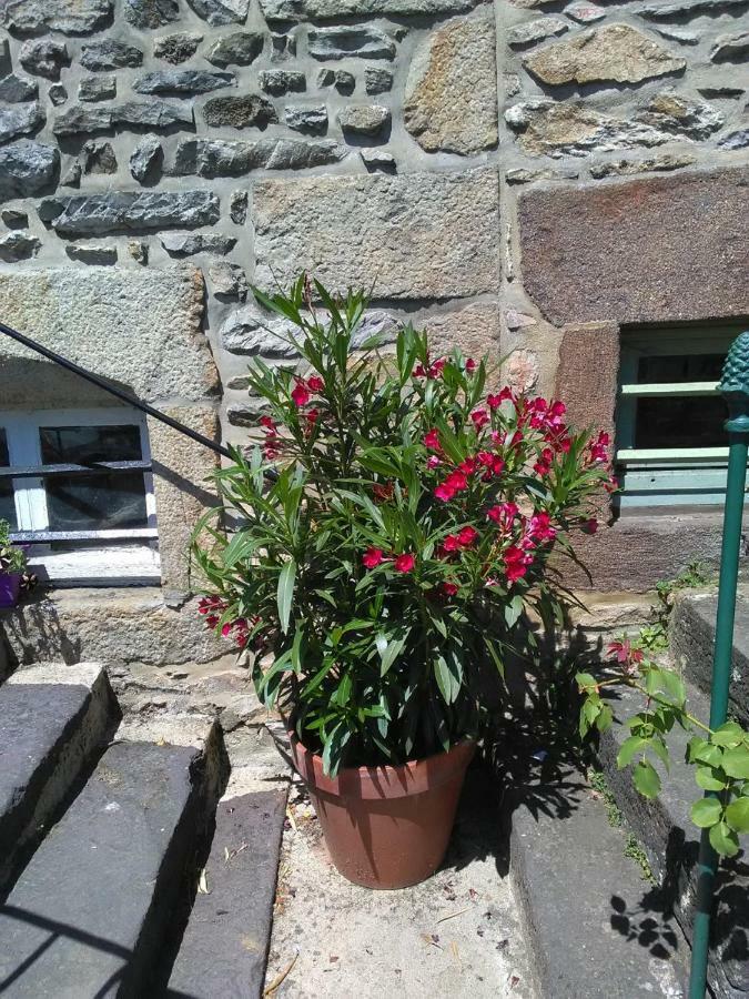 Le Refuge Des Alpes Mancelles Apartment Fresnay-sur-Sarthe Luaran gambar