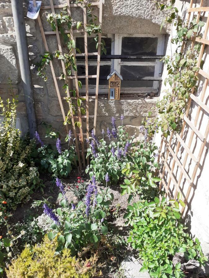 Le Refuge Des Alpes Mancelles Apartment Fresnay-sur-Sarthe Luaran gambar