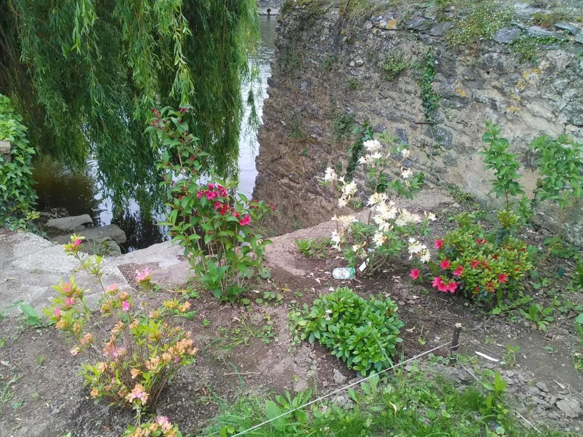 Le Refuge Des Alpes Mancelles Apartment Fresnay-sur-Sarthe Luaran gambar